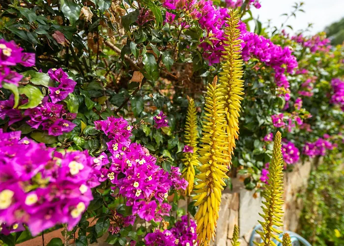 Holiday home Oleandro By Interhome Villasimius